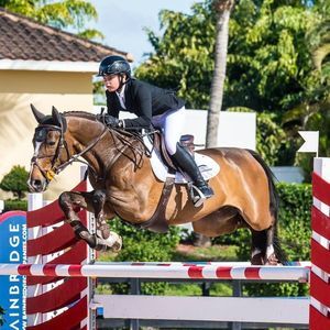 Meet your Posher, Ellen